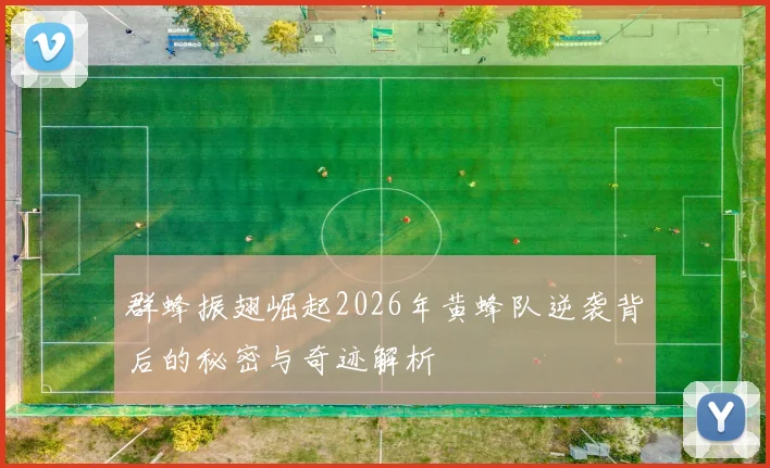 群蜂振翅崛起2026年黄蜂队逆袭背后的秘密与奇迹解析