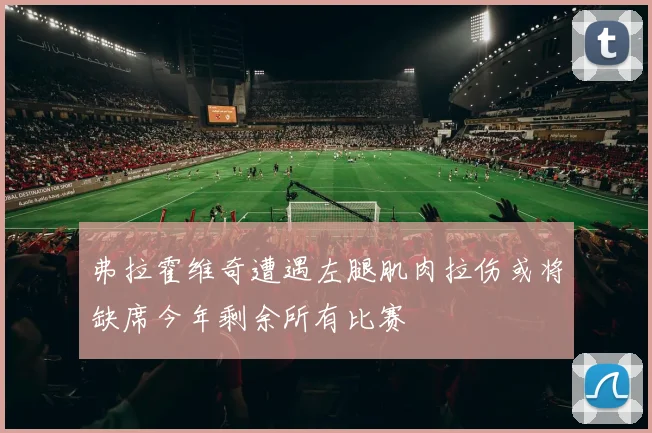 弗拉霍维奇遭遇左腿肌肉拉伤或将缺席今年剩余所有比赛