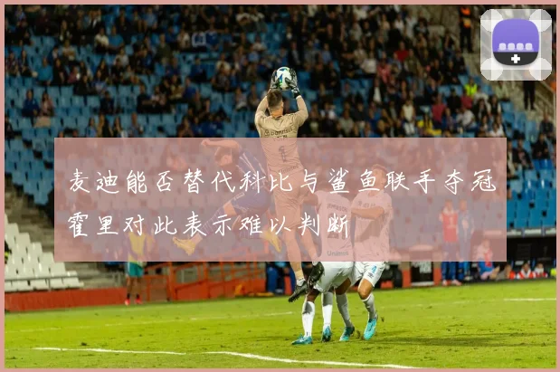 麦迪能否替代科比与鲨鱼联手夺冠霍里对此表示难以判断