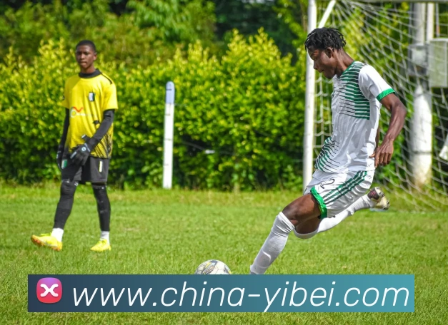 埃基蒂克本赛季英超表现抢眼射门次数领衔队内成关键球员